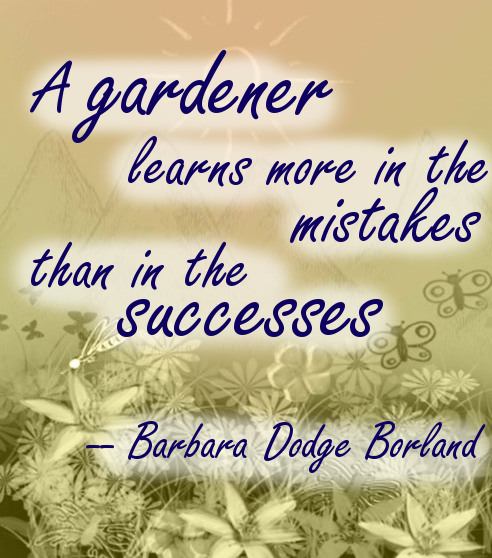 A gardener learns more in the mistakes than in the successes - Barbara Dodge Borland